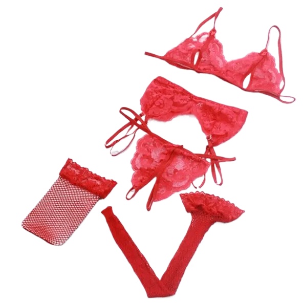 Lace Women Lingerie Set 4 Pcs  - Sheer Bra Lace recensie en prijs